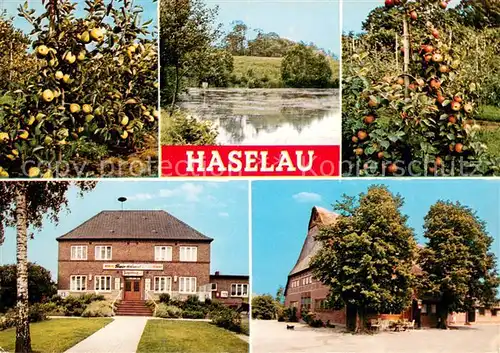 AK / Ansichtskarte Haselau Apfelbaeume Teich Jaegerkrug Hohenhorst Haselauer Landhaus Haselau