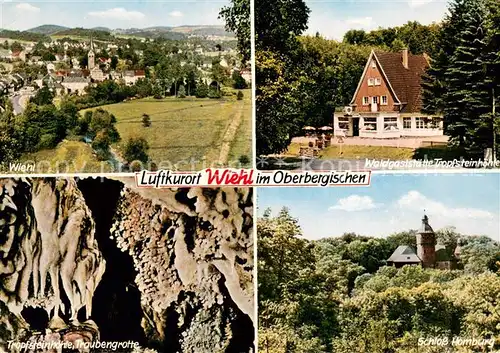 AK / Ansichtskarte Wiehl_Oberbergischer_Kreis Panorama Waldgaststaette Tropfsteinhoehle Traubengrotte Schloss Homburg 