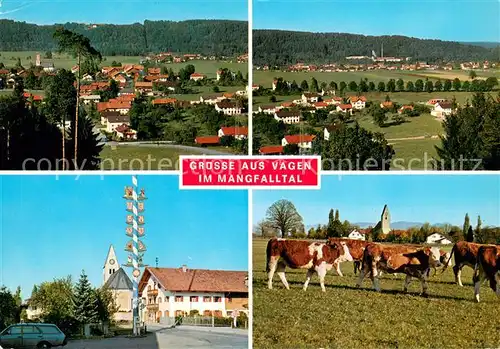 AK / Ansichtskarte Vagen Panorama Ortsansicht mit Maibaum Rinderherde Vagen