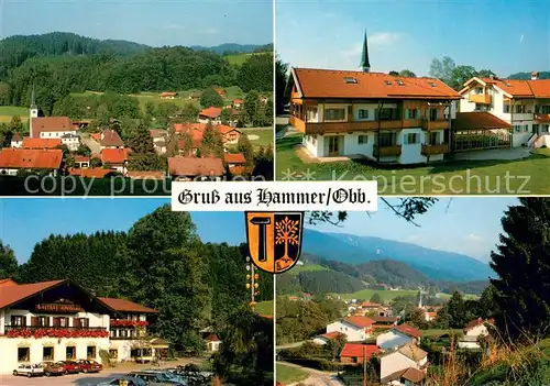 AK / Ansichtskarte Hammer_Siegsdorf Ortsansichten Hammer Siegsdorf