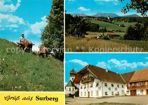 AK / Ansichtskarte Surberg Bergwiese Panorama Gasthaus Surberg Surberg