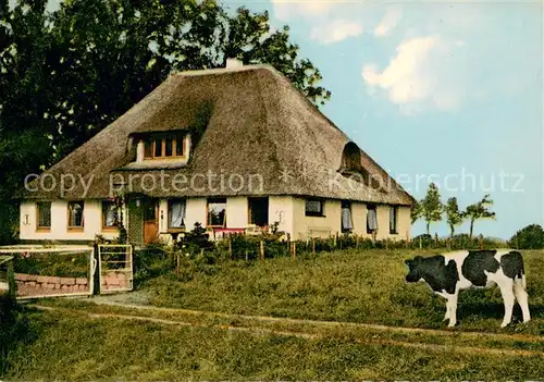 AK / Ansichtskarte Vollerwiek Eschenhof Vollerwiek