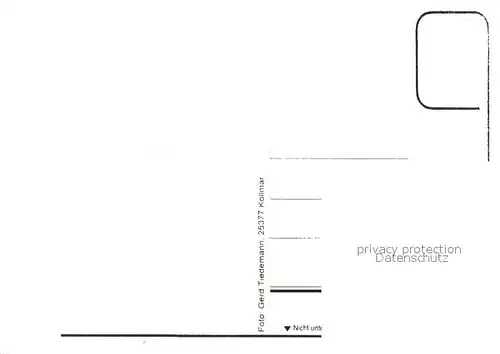 AK / Ansichtskarte Kollmar_Holstein Teilansicht Altes Handwerkszeug 