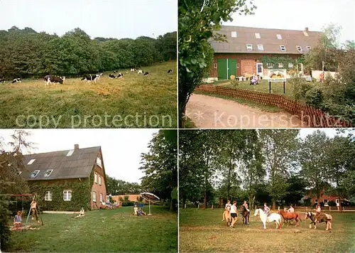 AK / Ansichtskarte Wasbuck_in_Holstein Urlaub auf dem Bauernhof Pony Pension Viehweide Kuehe Wasbuck_in_Holstein