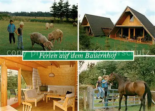AK / Ansichtskarte Moenkebuell Ferien auf dem Bauernhof Ferienhaeuser Schweine Pferde Moenkebuell