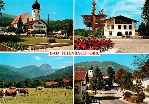 AK / Ansichtskarte Bad_Feilnbach Kirche Wegweiser Ortsmotiv mit Kirche Viehweide Alpenblick Bad_Feilnbach