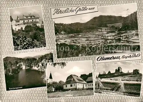 AK / Ansichtskarte Chamerau Schwalbenhof Blaubergersee Landschaftspanorama Burgruine Lamberg Chamerau