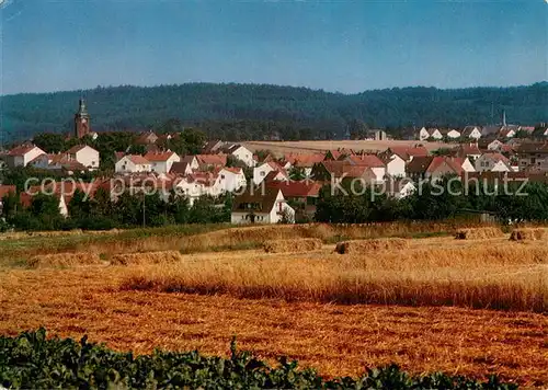 Siegelbach_Pfalz Panorama Siegelbach Pfalz