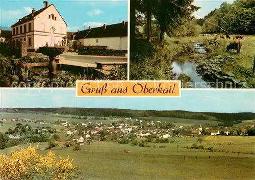 Oberkail Kaufhaus Hermann Viehherde Panorama Oberkail