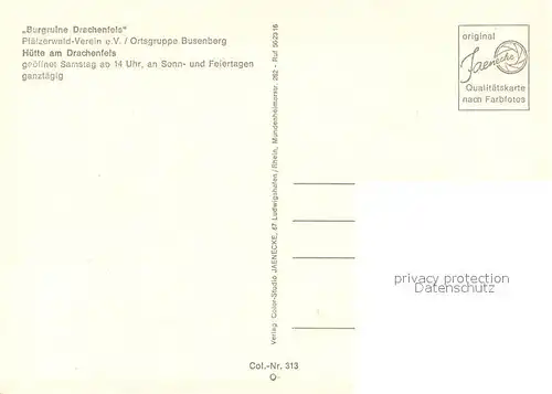 Busenberg_Pfalz Huette am Drachenfels Torbogen Panorama Busenberg Pfalz