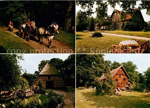 Bomlitz Pferdekutsche Juergenshof Parkpartien Bomlitz