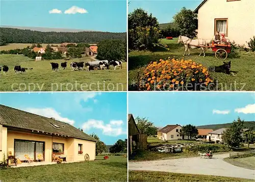 Auetal Panorama Pferdekutsche Bauernhof Details Auetal