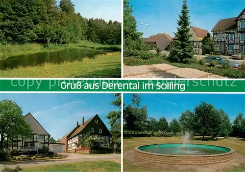 Derental Teich Teilansichten Brunnen Derental