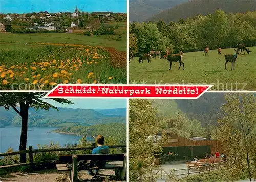 Nideggen_Eifel Ortsansicht Wildgehege Panorama Gaststaette Terrasse Nideggen Eifel