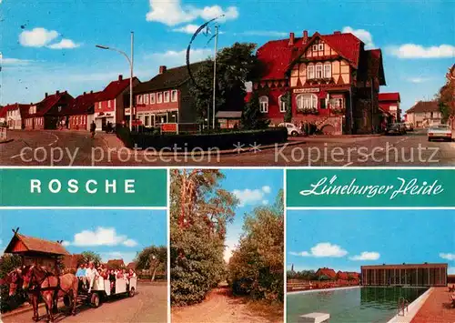 Rosche Strassenpartie Pferdewagen Allee Schwimmbad Rosche