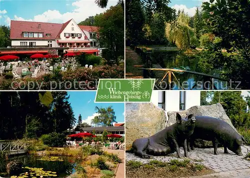 Preussisch_Oldendorf Wiehengebirgsklinik Holsing Freiterrasse Teich Gartencafe Schweineskulptur Preussisch Oldendorf