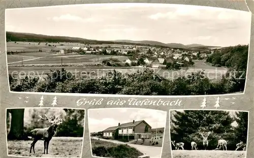 Tiefenbach_Hunsrueck Panorama Hirsch Wild Tiefenbach Hunsrueck