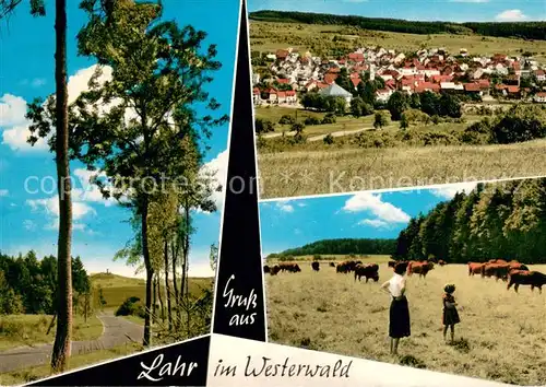 Lahr_Limburg Gesamtansicht Tierherde Landschaftspanorama Lahr Limburg