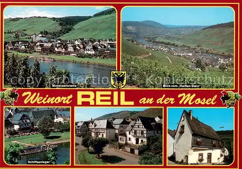 Reil Panorama Weindorf an der Mosel Blick vom heissen Stein Schiffsanleger Reil