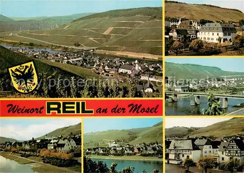Reil Panorama Weindorf an der Mosel Weinberge Altstadt Bruecke Reil