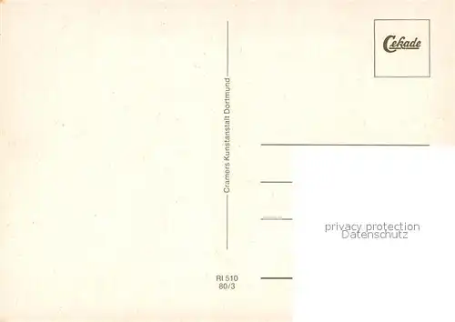 Reil Panorama Weindorf an der Mosel Weinberge Altstadt Bruecke Reil