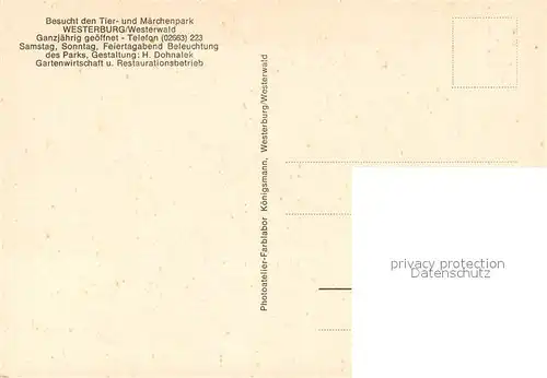 Westerburg_Westerwald Panorama Bruecke Tier  und Maerchenpark Westerburg_Westerwald