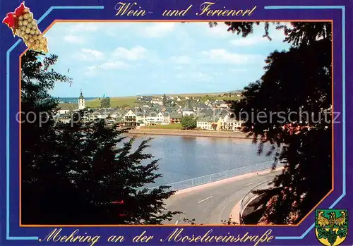 Mehring_Mosel Panorama Blick ueber die Mosel Wein  und Ferienort Mehring Mosel
