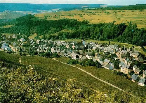 Maring Panorama Weinort Maring