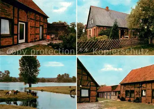 Damnatz Ferienhaeuser Landwirtschaftliche Anwesen Biospaerenreservat Elbtalaue Damnatz