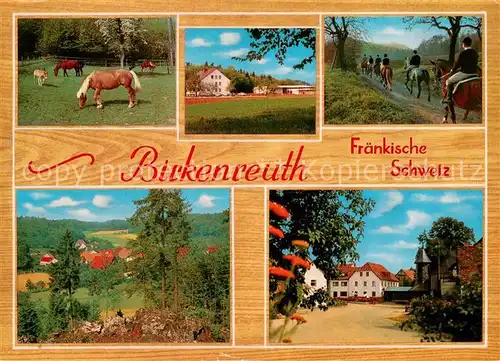 Birkenreuth Ortsansichten Ausritt Pferdekoppel Fraenkische Schweiz Birkenreuth
