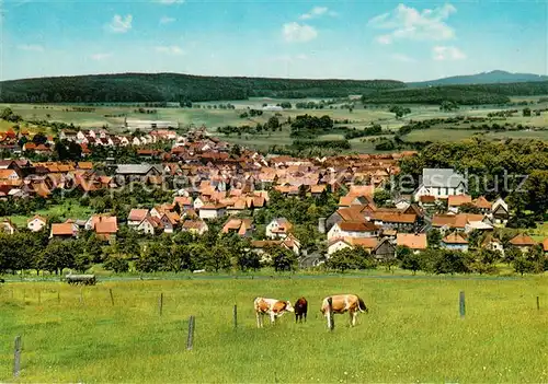 Gedern Panorama Luftkurort Viehweide Kuehe Gedern