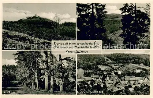 Steina_Suedharz Ravensberg Steinatal Am Plan Blick vom Muehlberg Steina Suedharz