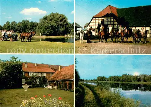 Bargfeld_Eldingen Pferdekutsche Reiter Sieglingenhof Teich Bargfeld Eldingen