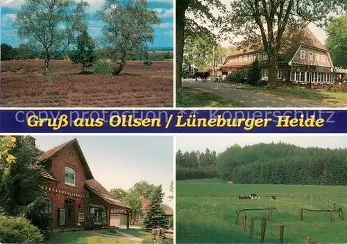 Ollsen Heidelandschaften Gasthaeuser Ollsen