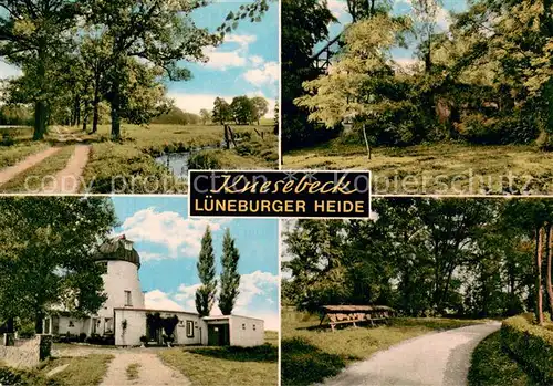 Knesebeck Eichenweg Burgruine Elstermuehle Waldlehrpfad Knesebeck