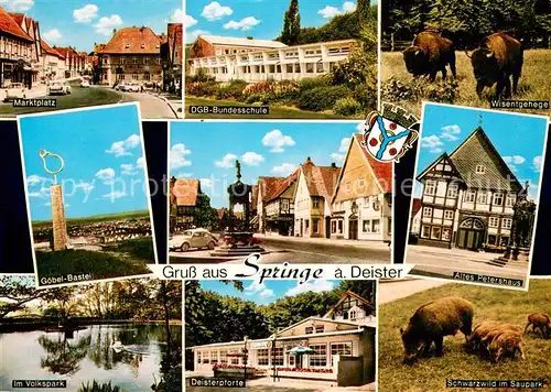 Springe_Deister Marktplatz DGB Bundesschule Wisentgehege Goebel Bastei Brunnen Altes Petershaus Im Volkspark Deisterpforte Schwarzwild im Saupark Springe_Deister