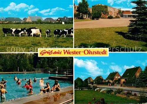 Wester Ohrstedt Rinderherde Schule Freibad Siedlung Wester Ohrstedt