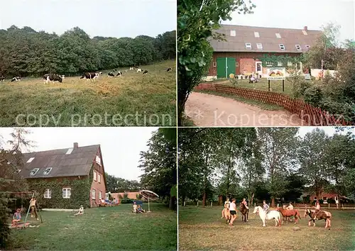 Wasbuck_in_Holstein Bauernhof Stolzenwald Pony Pension Spielplatz Reitplatz Wasbuck_in_Holstein