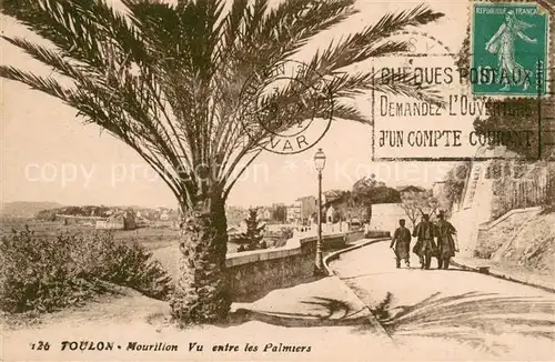 Toulon_Var Mourillon Vue entre les Palmiers Toulon_Var