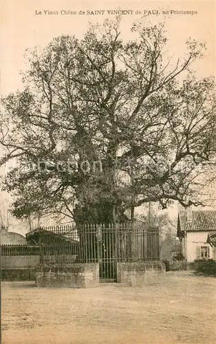 Saint Vincent_Haute Loire Le Vieux Chene de Saint Vincent de Paul au Printemps Saint Vincent Haute Loire