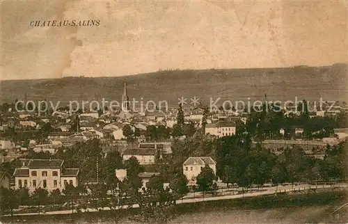 Chateau Salins Vue generale Chateau Salins