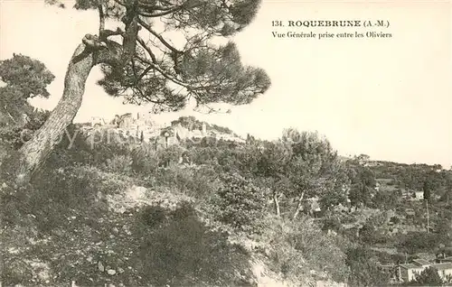 Roquebrune_Menton Vue generale prise entre les Oliviers Roquebrune Menton
