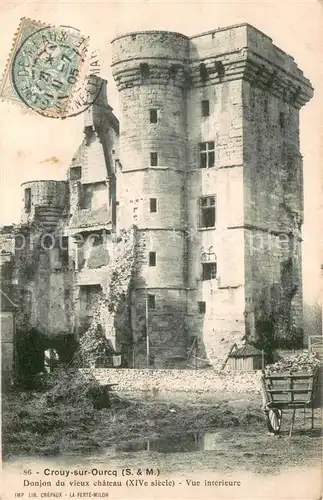 Crouy sur Ourcq Donjon du vieux chateau XIVe siecle vue interieure Crouy sur Ourcq