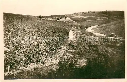 AK / Ansichtskarte Chablis Les Vignes Vallee de Vaudesir Chablis