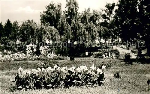 AK / Ansichtskarte Kaposvar Parkreszlet Kaposvar