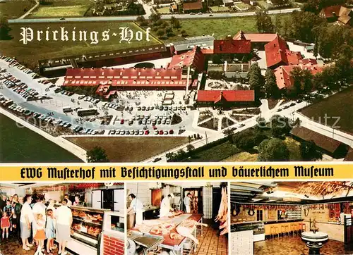 AK / Ansichtskarte Sythen Prickings Hof EWG Musterhof mit Besichtigungsstall und baeuerlichem Musem Sythen