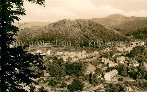 AK / Ansichtskarte Thal_Ruhla Panorama Luftkurort Blick vom alten Keller Thueringer Wald Thal_Ruhla