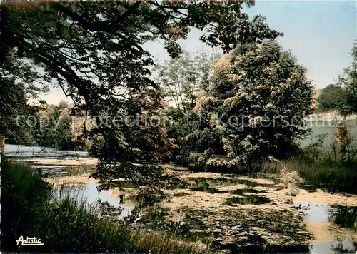 AK / Ansichtskarte Saint Sauveur en Puisaye Le Canal du Chateau Saint Sauveur en Puisaye