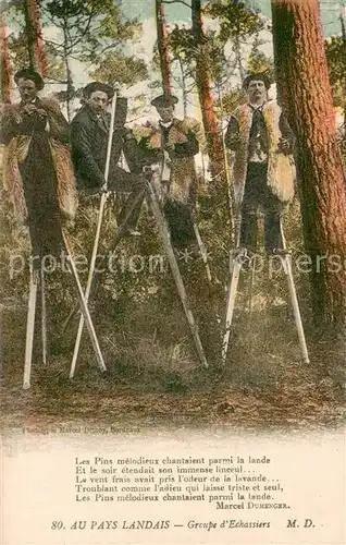 AK / Ansichtskarte Landwirtschaft Waldarbeit 