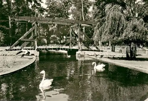 AK / Ansichtskarte Ueckermuende_Mecklenburg_Vorpommern Nachbildung der ehemaligen Kettenbruecke Schwaene Ueckermuende_Mecklenburg